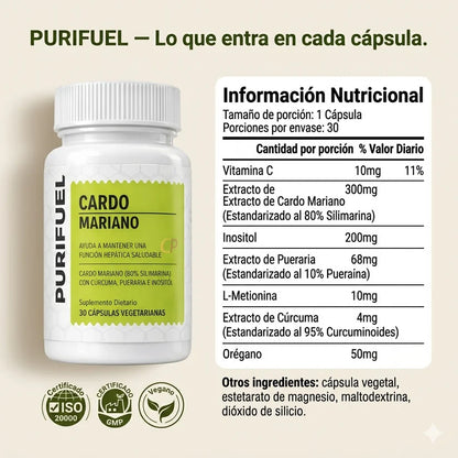 Suplemento para desintoxicar el Hígado y digerir las grasas | DESINFLAMÁ TU ABDOMEN Y LIMPIÁ TU CUERPO DESDE ADENTRO EN 14 DÍAS
