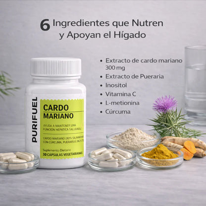 Suplemento para desintoxicar el Hígado y digerir las grasas | DESINFLAMÁ TU ABDOMEN Y LIMPIÁ TU CUERPO DESDE ADENTRO EN 14 DÍAS